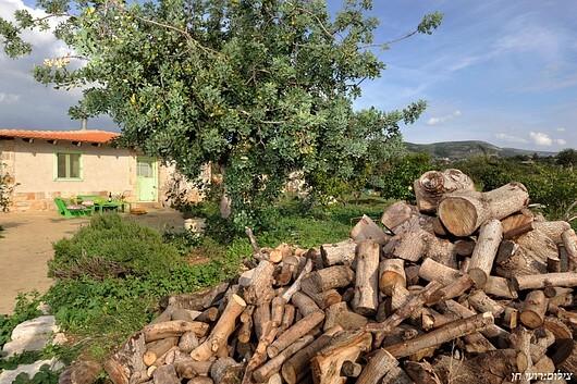 53352 וילה כליל הטבע, כליל הטבע, וילה  בכליל וילות - Vila 4 U