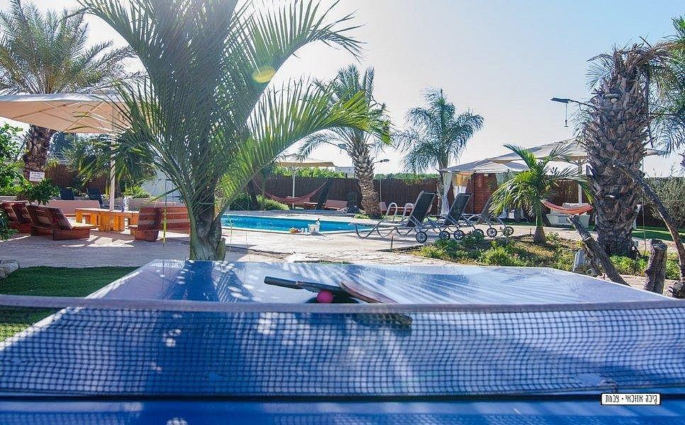 60979 הבריכה הספא והחצר, מונקאטה, וילה  בשדה דוד וילות - Vila 4 U