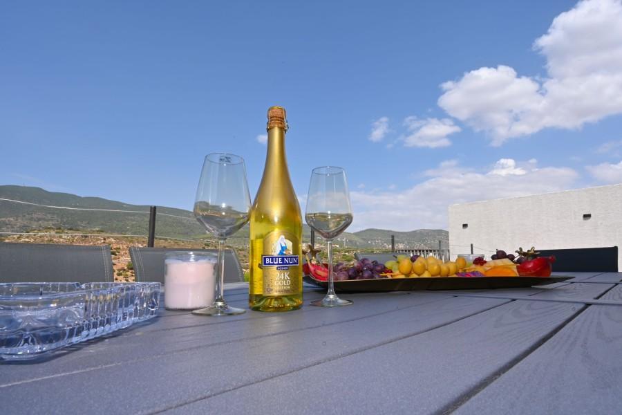 192353 מתחם חיצוני, וילה לה רוסה - La Rosa, וילה  בכפר חנניה וילות - Vila 4 U