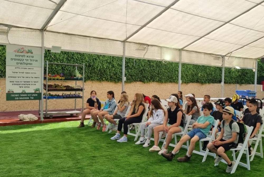 198927 אירוח במקום, בחצר של אפריים, וילה  במשמר השבעה וילות - Vila 4 U