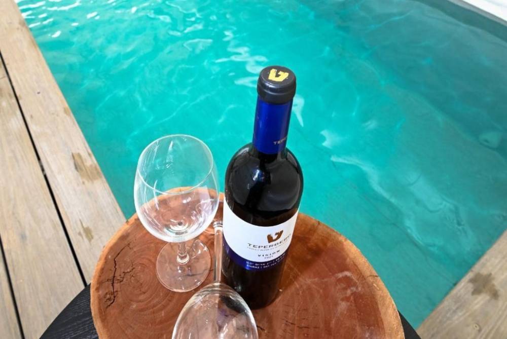 209782 גלריה כללית, וילה לארבל - Villa LaArbel, וילה  במגדל וילות - Vila 4 U