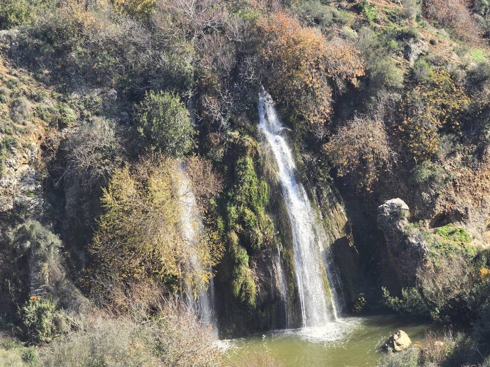 210945 שקד באופק - אירוח בוטיק, שקד באופק - וילה בוטיק, וילה  במטולה וילות - Vila 4 U