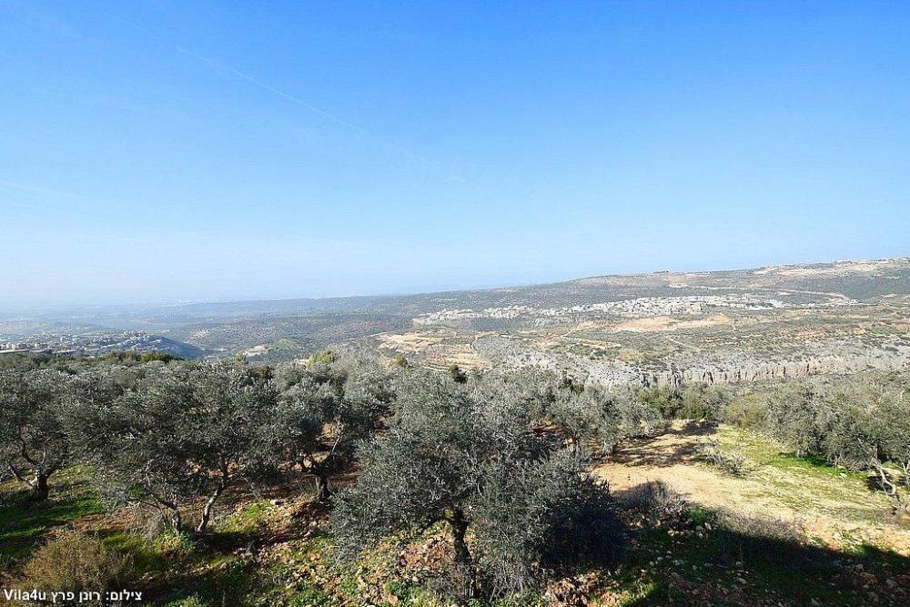 211481 גלריה כללית, וילה טרה ורדה - Terra Verde, וילה  בירכא וילות - Vila 4 U