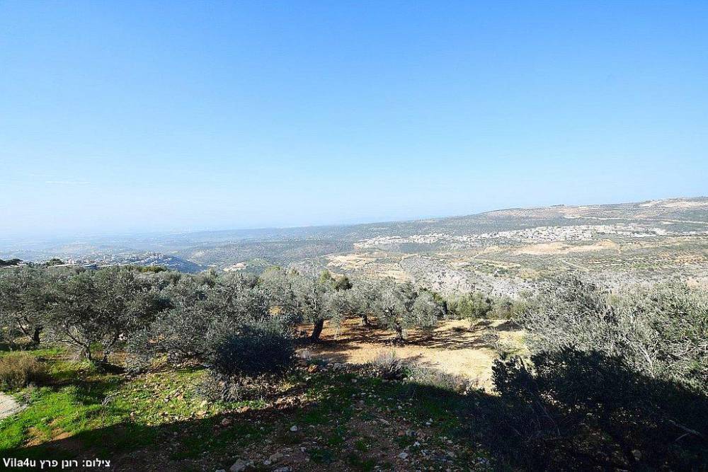 211499 גלריה כללית, וילה טרה ורדה - Terra Verde, וילה  בירכא וילות - Vila 4 U