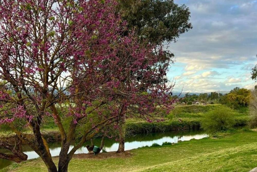 213663 גלריה כללית, וילה נוף להרים, וילה  בקרית שמונה וילות - Vila 4 U