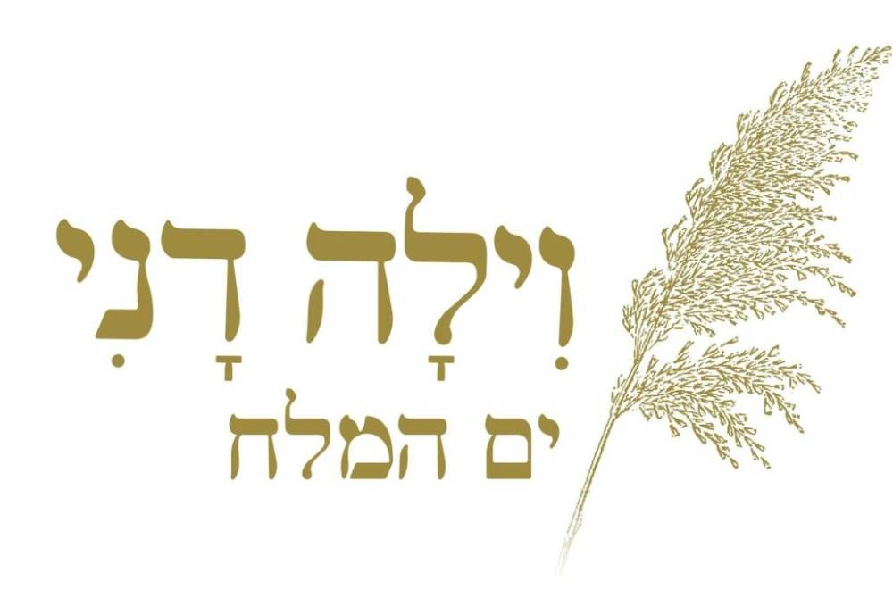 237409 וילה דני - ים המלח, וילה דני - ים המלח, וילה  בים המלח וילות - Vila 4 U
