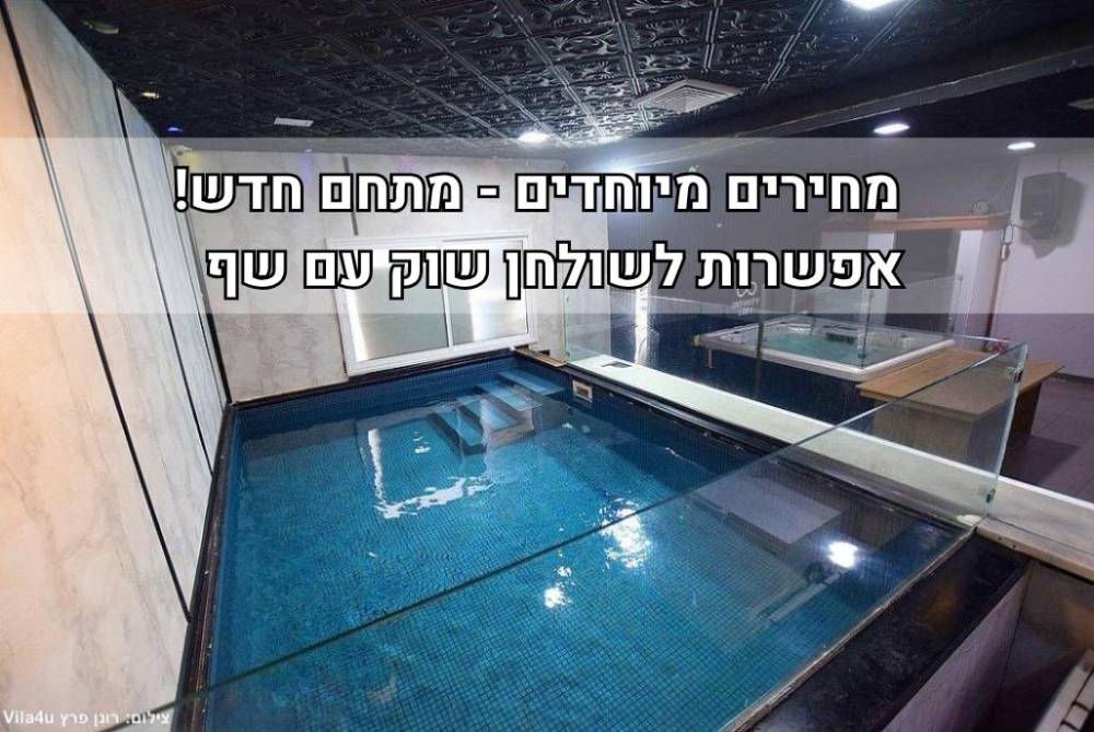 238502 גלריה כללית, אינפיניטי לופט, וילה  בראשון לציון וילות - Vila 4 U
