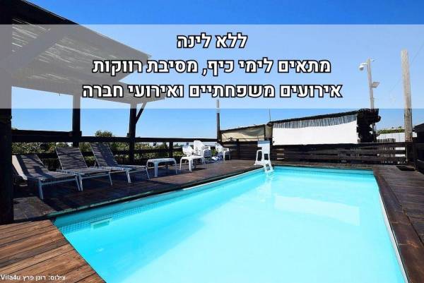 ליידיס פול