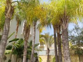 לוגו - וילה מזל לוגו - וילה מזל